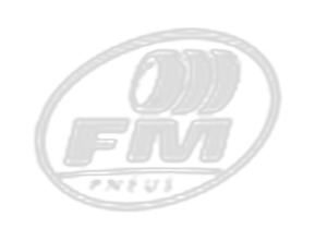 FM Pneus